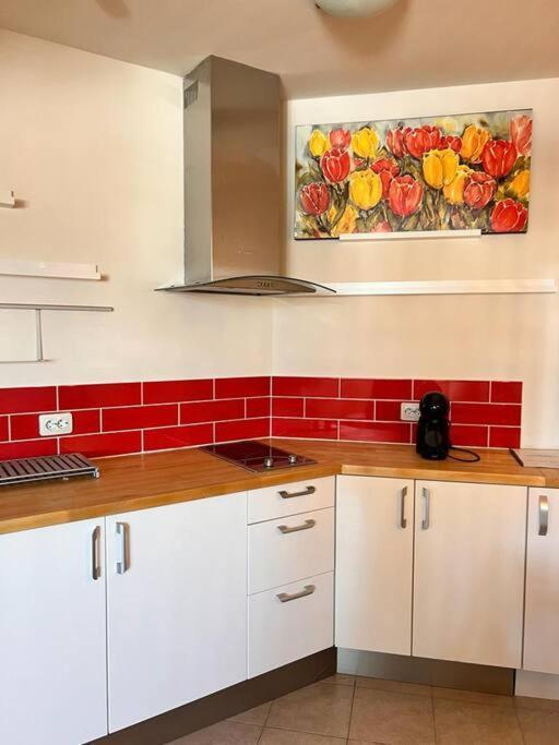 בנסקו Cozy 1 Bedroom Apartment Next To The Gondola מראה חיצוני תמונה