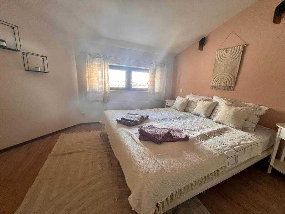 בנסקו Cozy 1 Bedroom Apartment Next To The Gondola מראה חיצוני תמונה